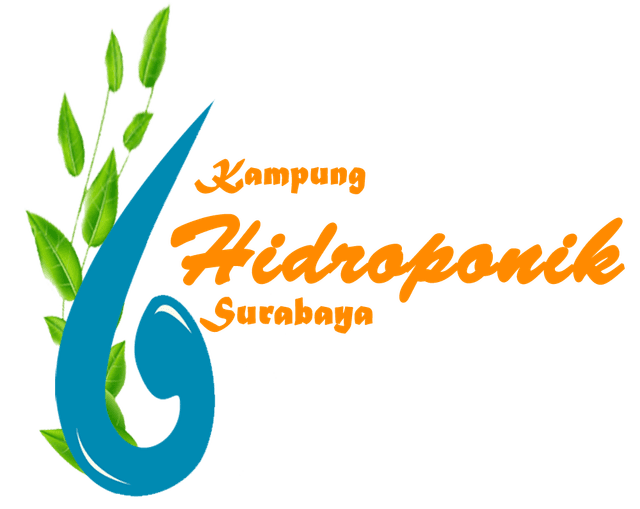 Kampung Hidroponik Surabaya